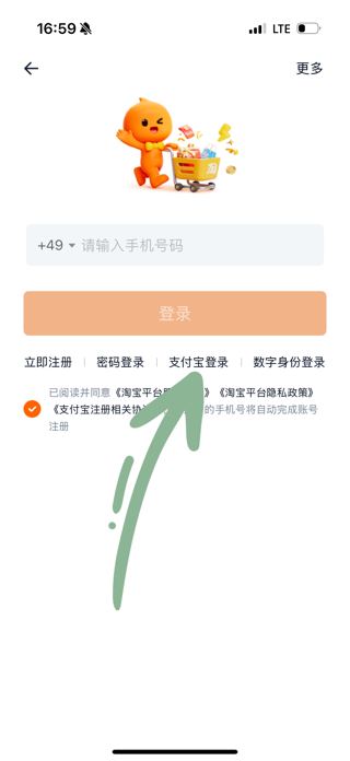 Нажмите «支付宝登录» — вход через Alipay